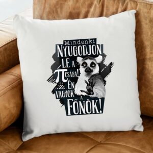 Mindenki nyugodjon le itt én vagyok a főnök párna