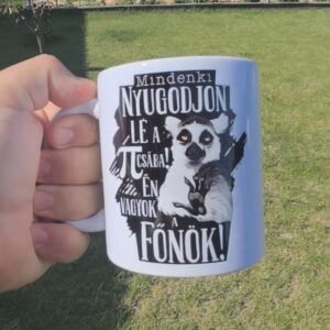 Mindenki nyugodjon le én vagyok a főnök bögre