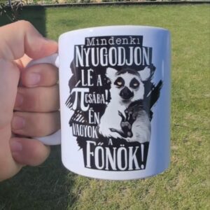 Mindenki nyugodjon le itt én vagyok a főnök bögre