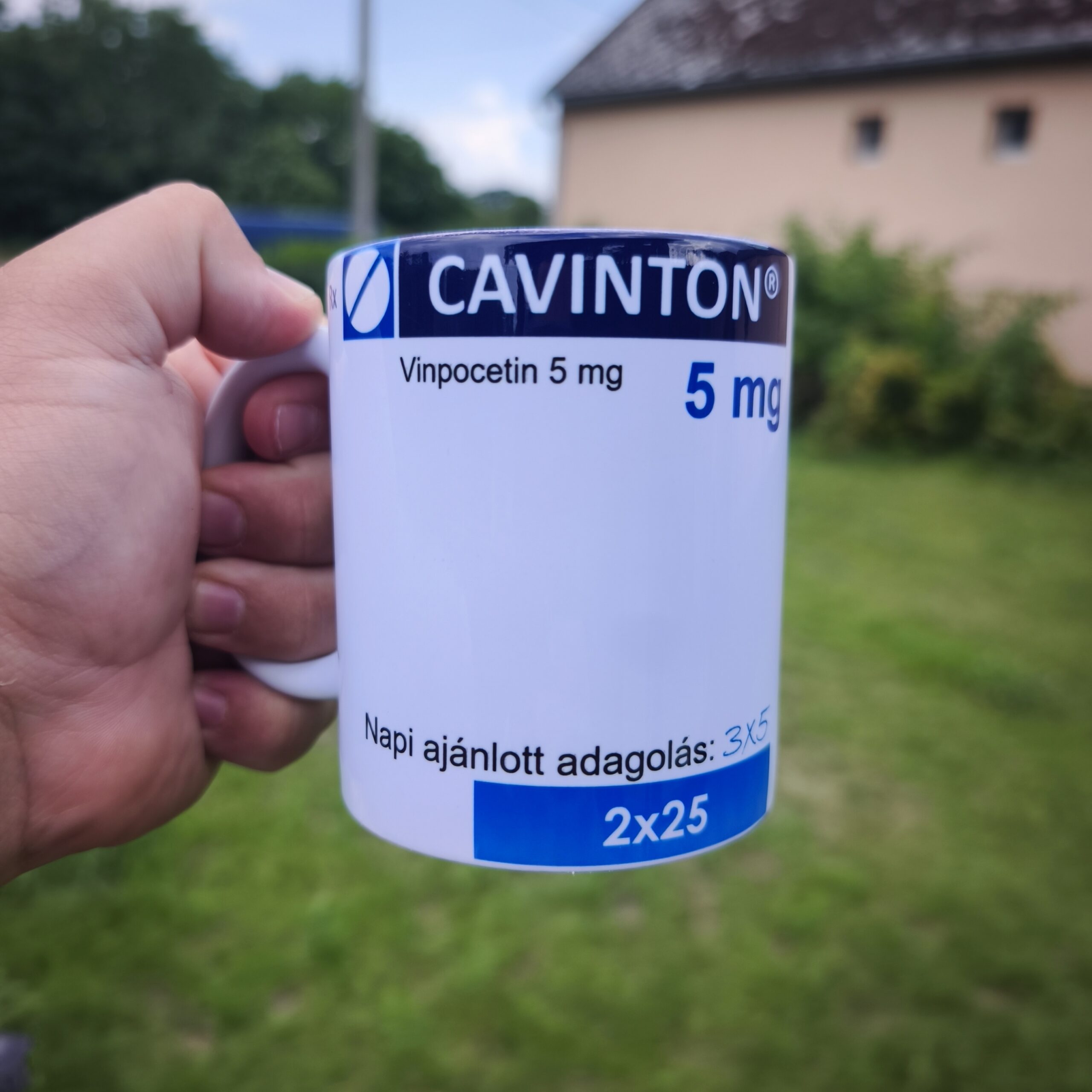 Cavinton Bögre